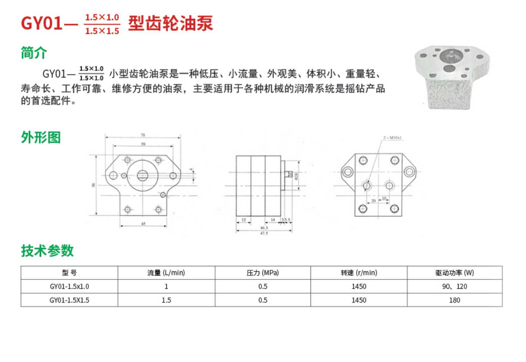 GY01-齿轮油泵